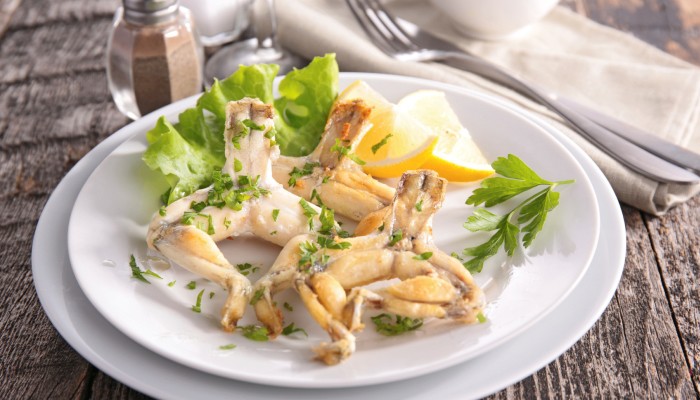 Frog dish