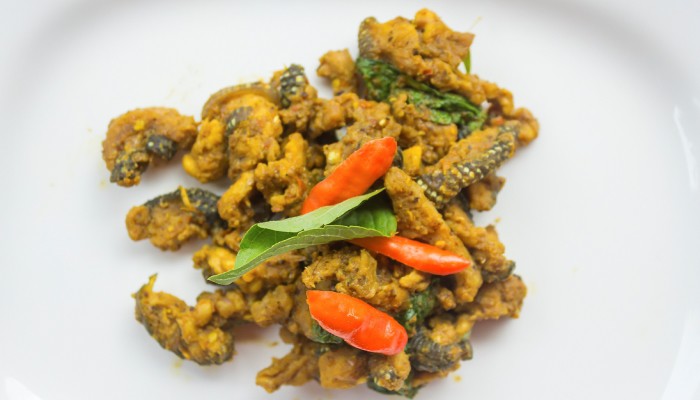 Spiny Tail Lizard Dish