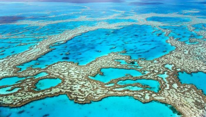barrier-reef-australia